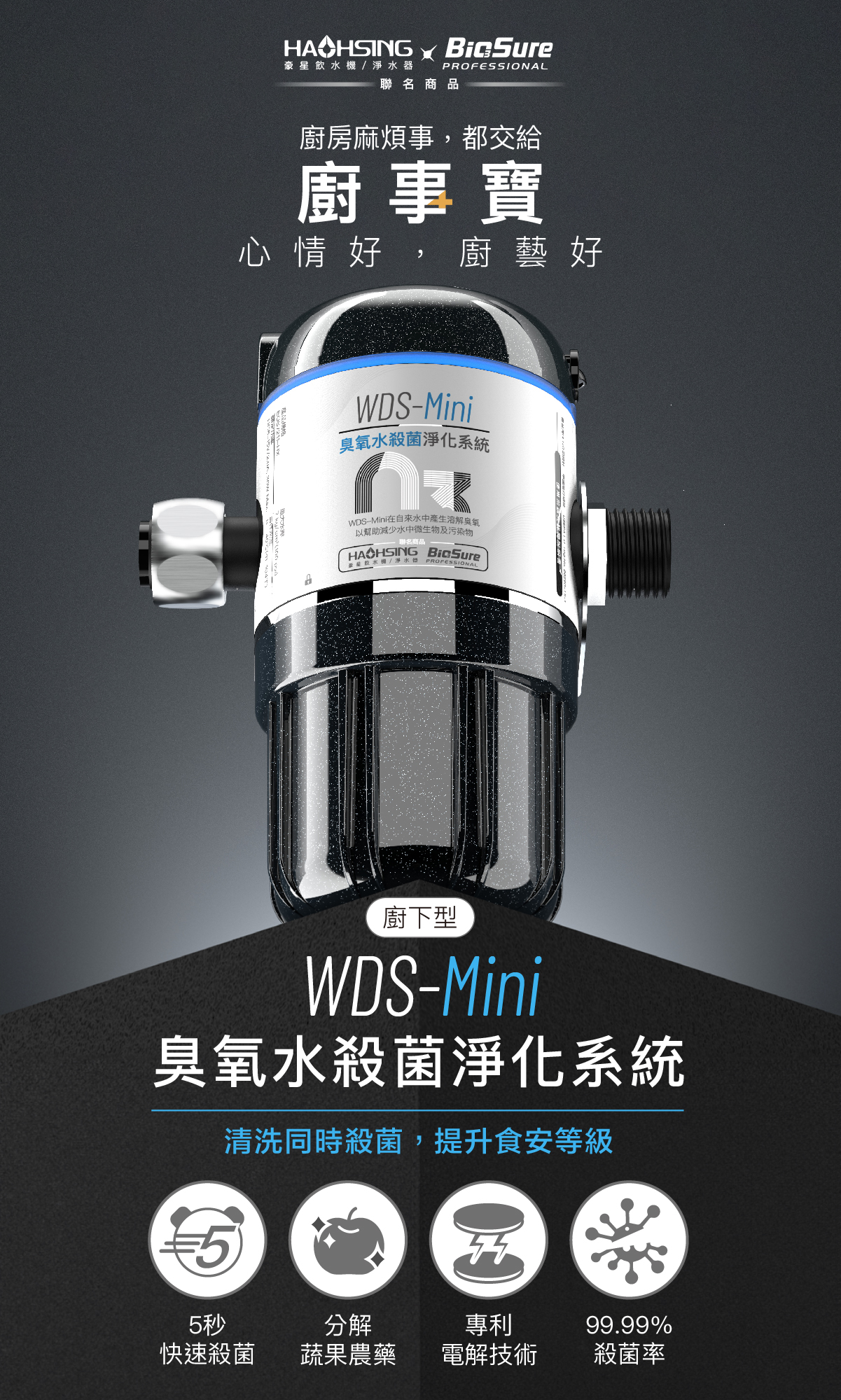 WDS-Mini臭氧水殺菌淨化系統