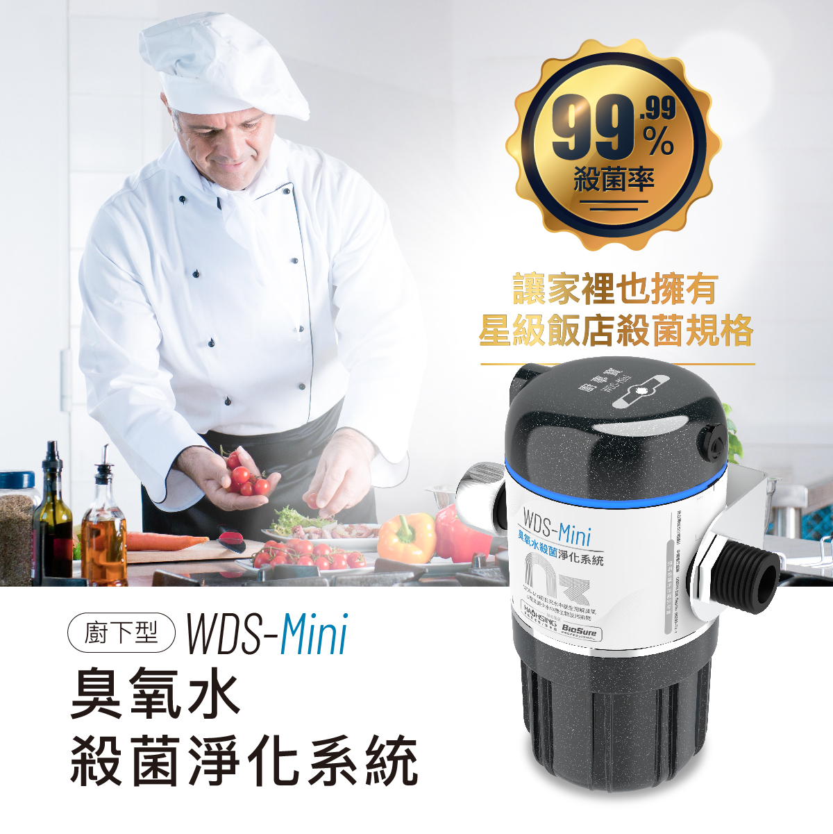 WDS-Mini臭氧水殺菌淨化系統