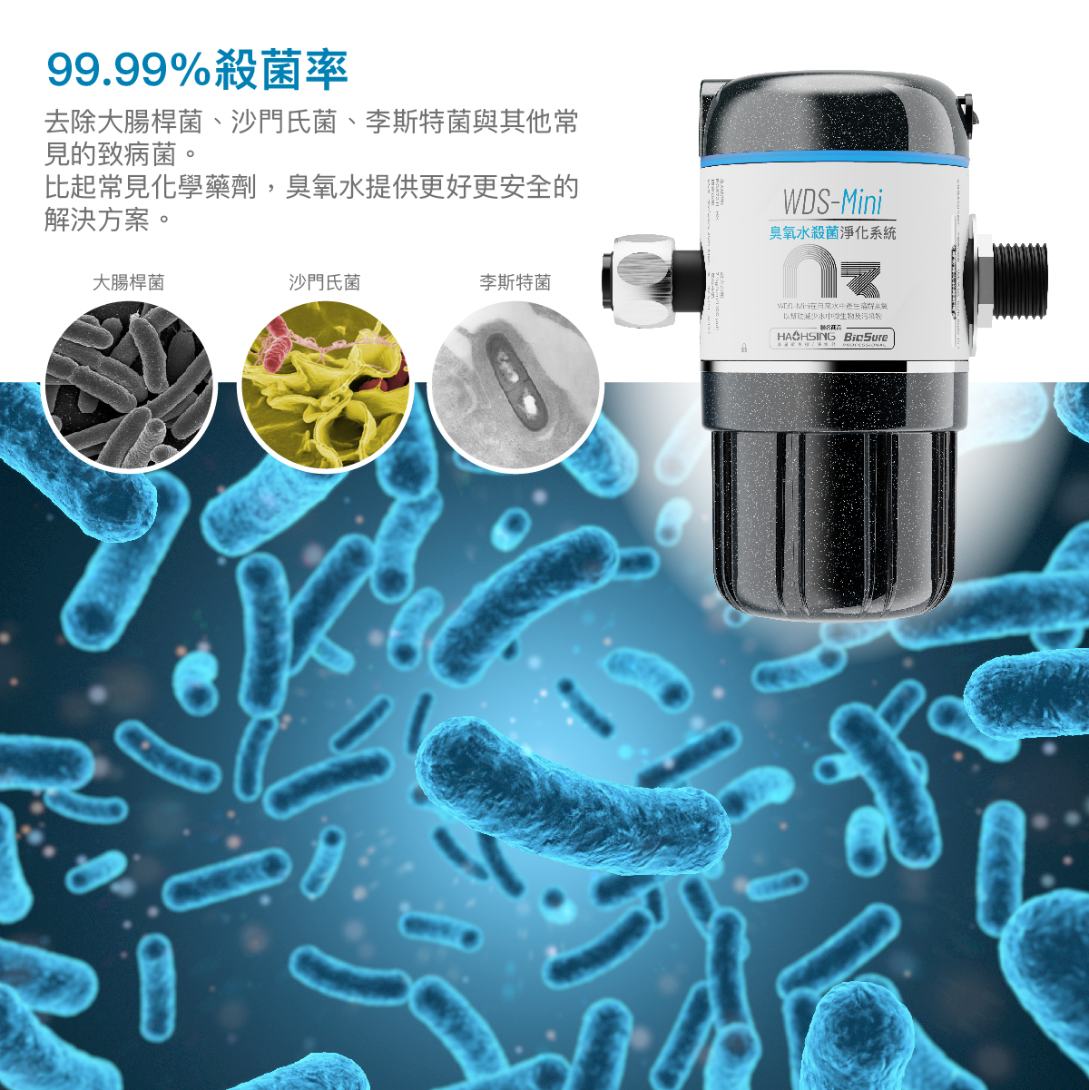 WDS-Mini臭氧水殺菌淨化系統
